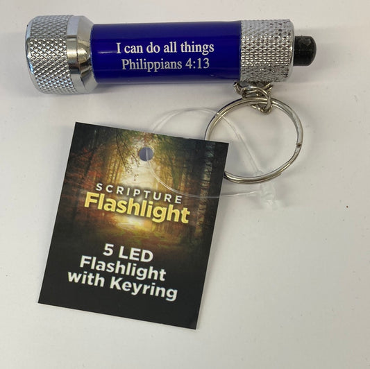 5 LED FLASHLIGHT/KEYRING BLUE-8739