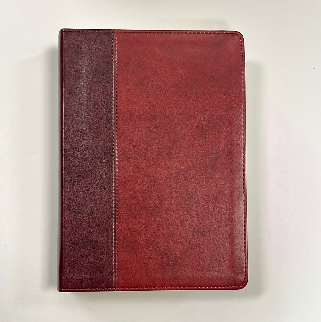 ESV SING COL LP JOURN BIBLE BUR-8732