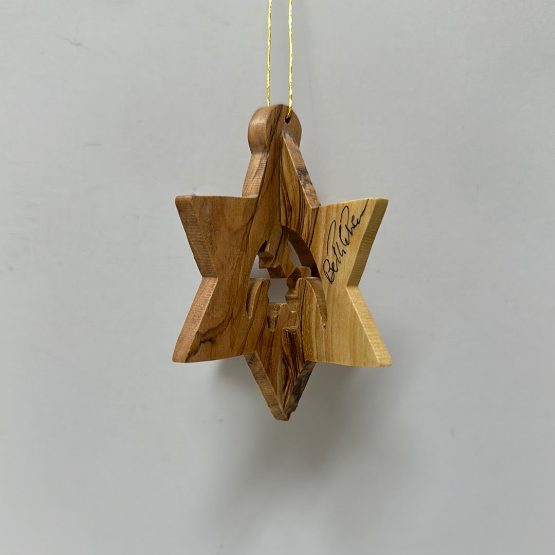 3D STAR OF DAVID W/NATIV ORN-2843