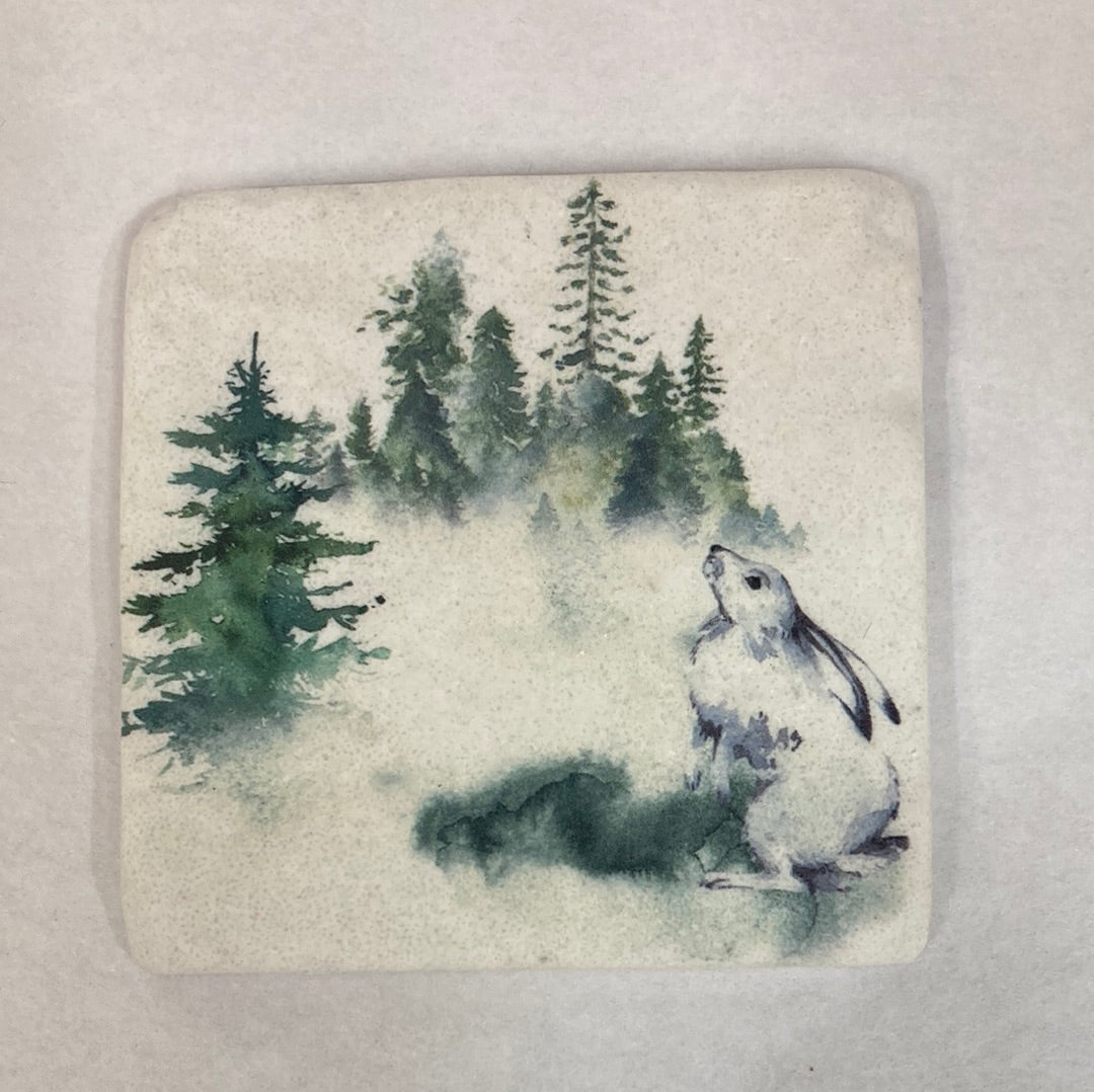 WOODLAND ANIMAL COASTERS-3889