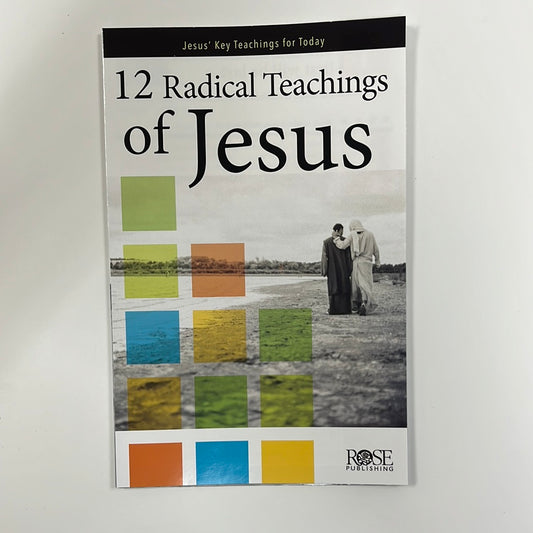 12 RADICAL TEACHINGS PAMPHLET-4571